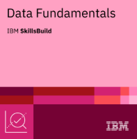 Data Fundamentals badge